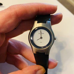 Skagen Ladies Steel Watch w/ Silicone Band